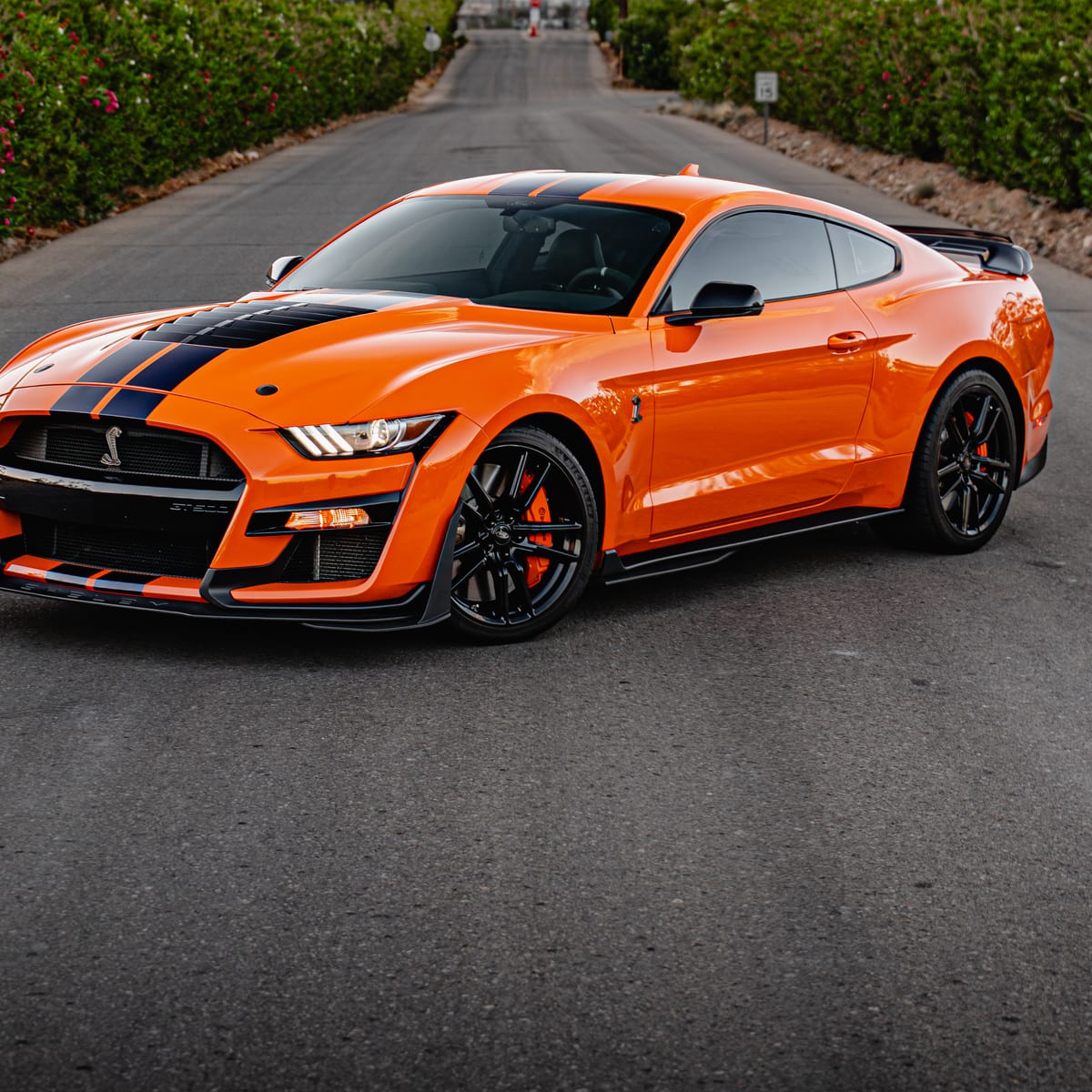 Orange Shelby GT500 with black stripes, freshly ceramic coated