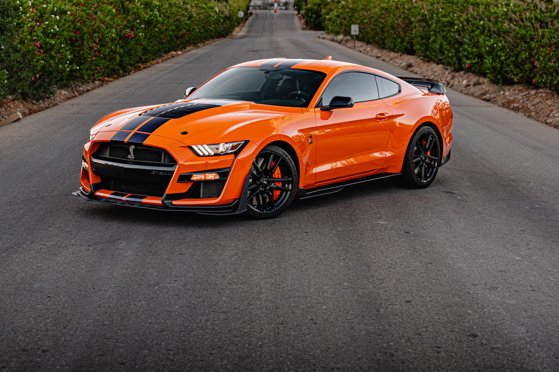 Orange Shelby GT500 with black stripes, freshly ceramic coated